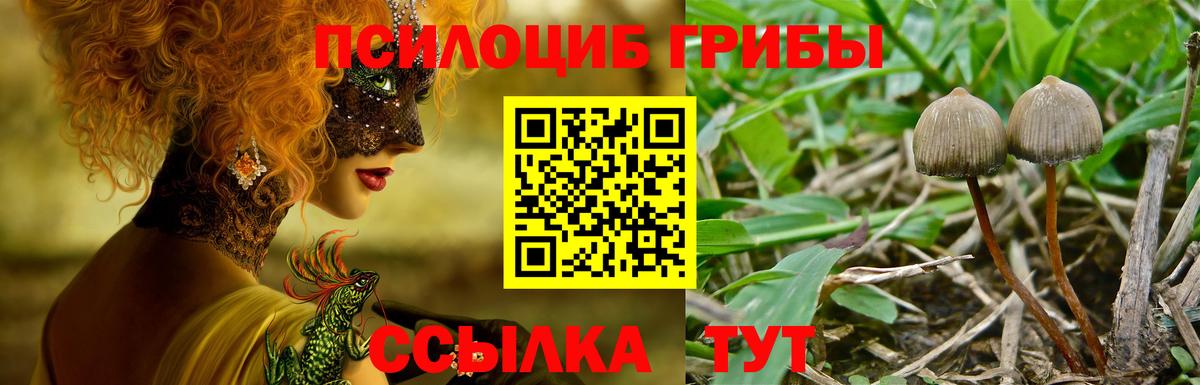 Галлюциногенные грибы мицелий Сегежа