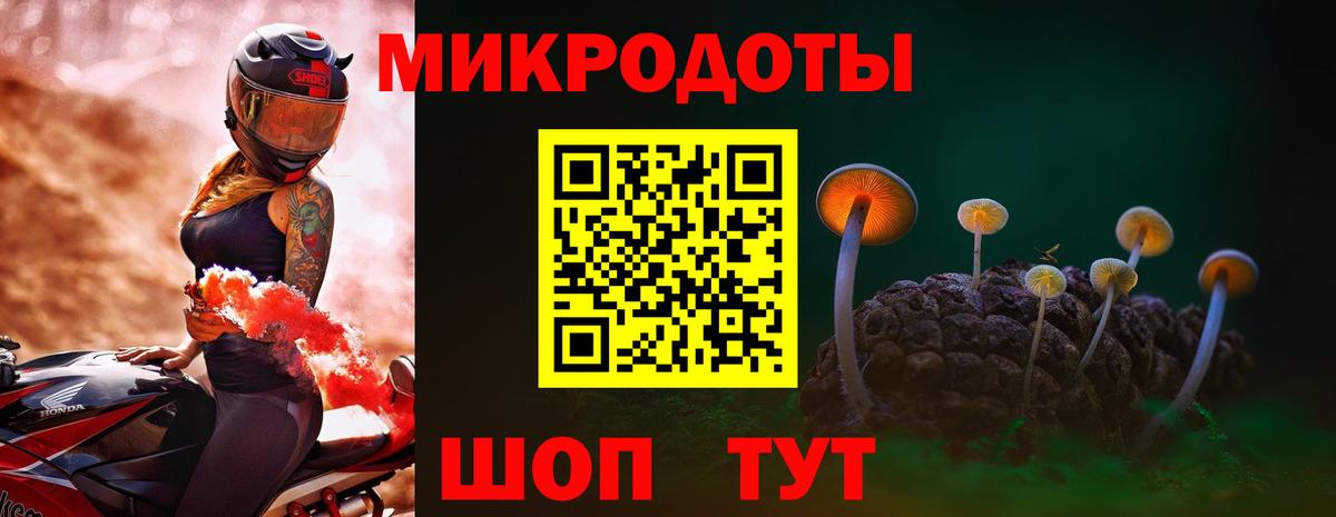 Сегежа  Псилоцибиновые грибы прущие грибы  Вход с VPN 
